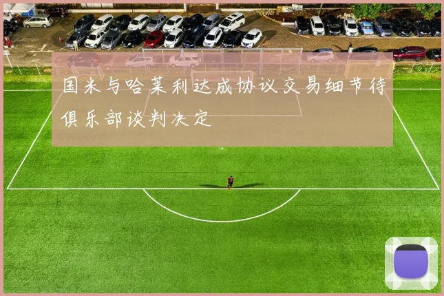 国米与哈莱利达成协议交易细节待俱乐部谈判决定